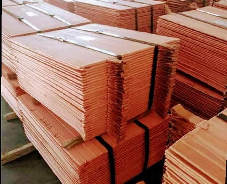 WhatsApp Image 2026-03-09 at 15.15.18