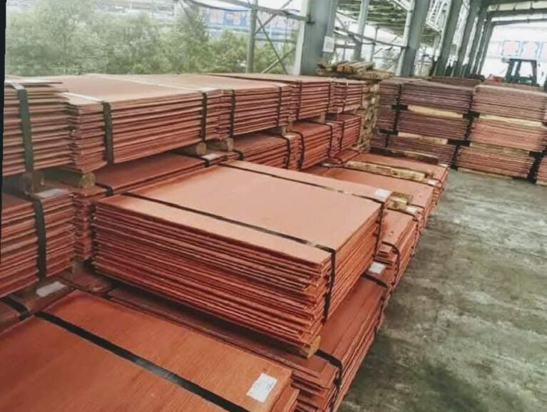 WhatsApp Image 2026-02-18 at 11.17.53